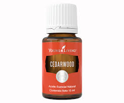 cedarliftsolutions